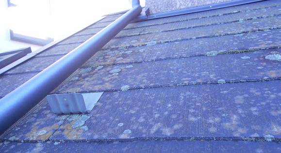 屋根塗装前のコケやカビがついている状態